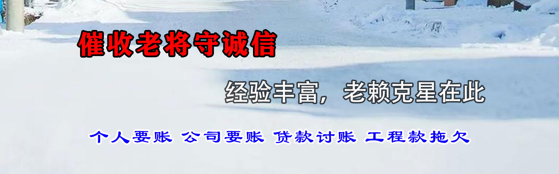 青田催数公司